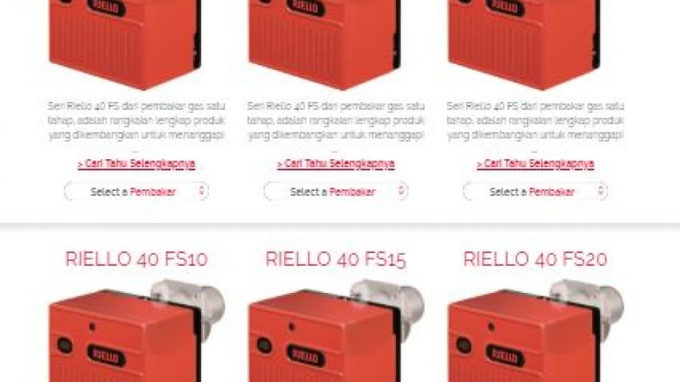Burner Riello FS40 series