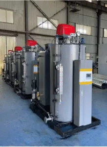Delon Compact Gas Fired Steam Boilers 200–4000 kg